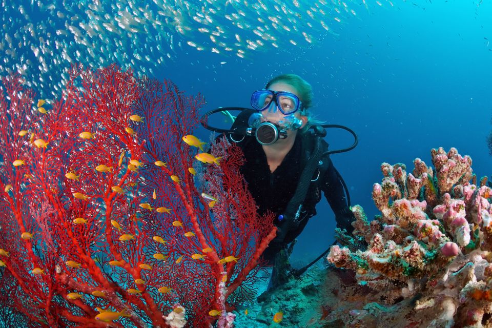 plongee-sous-marine-ile-maurice
